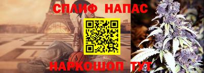 прущие грибы Краснодар