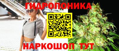 прущие грибы Краснодар